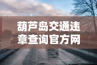 葫芦岛交通违章查询官方网站  第1张