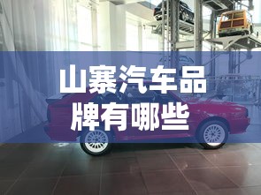 山寨汽车品牌有哪些  第1张