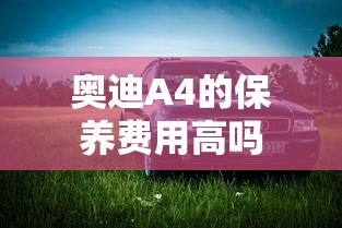 奥迪A4的保养费用高吗  第1张