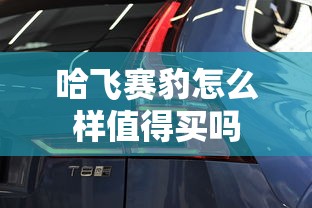 哈飞赛豹怎么样值得买吗  第1张