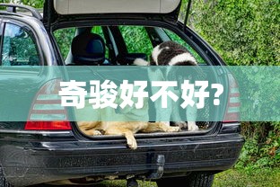 奇骏好不好?  第1张