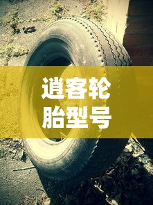 逍客轮胎型号规格  第1张