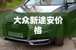 大众新途安价格  第1张