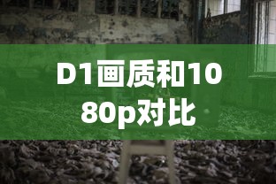 D1画质和1080p对比  第1张
