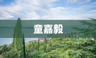 童嘉毅  第1张
