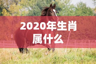 2020年生肖属什么  第1张