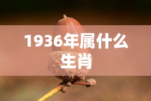 1936年属什么生肖  第1张