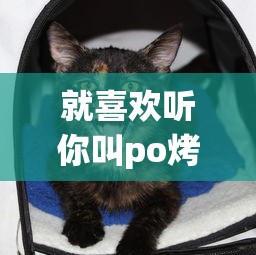 就喜欢听你叫po烤鱼喵  第1张