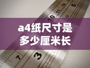 a4纸尺寸是多少厘米长宽  第1张