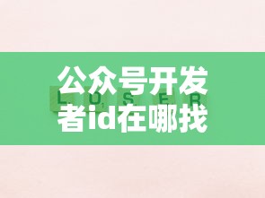 公众号开发者id在哪找  第1张