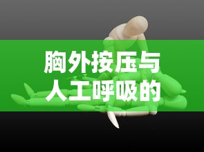 胸外按压与人工呼吸的比例  第1张