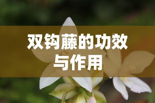 双钩藤的功效与作用  第1张
