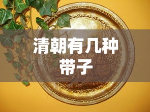 清朝有几种带子  第1张