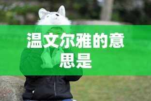 温文尔雅的意思是  第1张