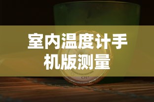 室内温度计手机版测量  第1张
