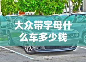 大众带字母什么车多少钱  第1张