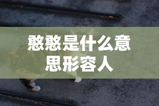 价格弹性系数公式  第1张