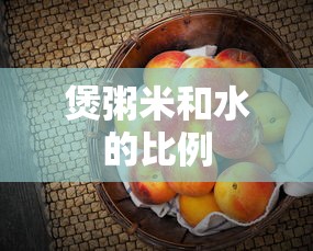 煲粥米和水的比例  第1张