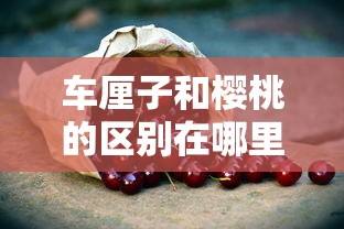 车厘子和樱桃的区别在哪里  第1张