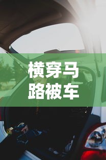 横穿马路被车撞到了谁的责任  第1张