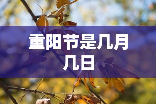 重阳节是几月几日  第1张