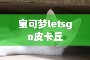 宝可梦letsgo皮卡丘  第1张