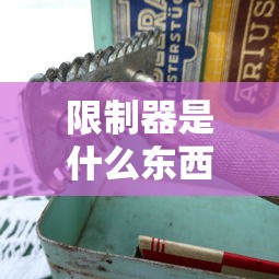 限制器是什么东西  第1张