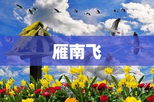 雁南飞  第1张