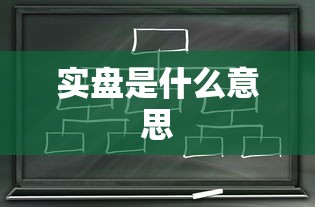 实盘是什么意思  第1张