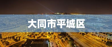 大同市平城区  第1张