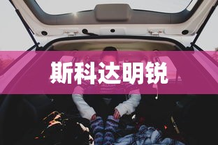 斯科达明锐  第1张