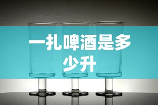 一扎啤酒是多少升  第1张