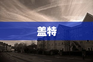 盖特  第1张