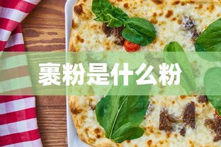 裹粉是什么粉  第1张