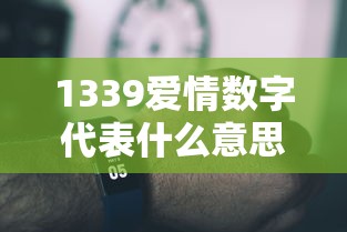 1339爱情数字代表什么意思  第1张