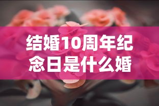 结婚10周年纪念日是什么婚  第1张