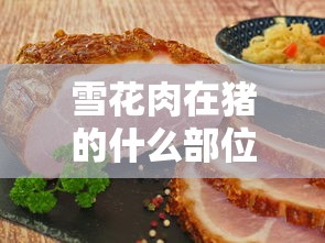 巴雷特多重一支  第1张