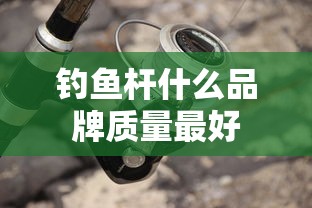 钓鱼杆什么品牌质量最好  第1张