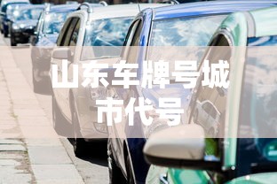 山东车牌号城市代号  第1张