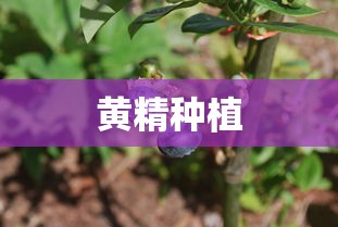 曲面在点处的切平面方程怎么求  第1张