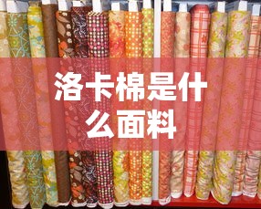 洛卡棉是什么面料  第1张