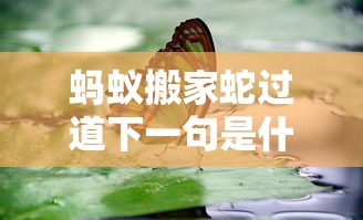蚂蚁搬家蛇过道下一句是什么  第1张
