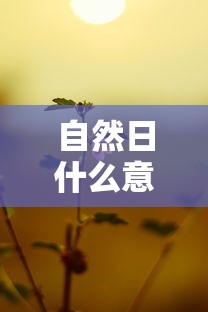 自然日什么意思  第1张