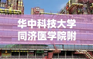 华中科技大学同济医学院附属同济医院  第1张