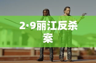2·9丽江反杀案  第1张