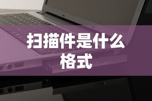 扫描件是什么格式  第1张