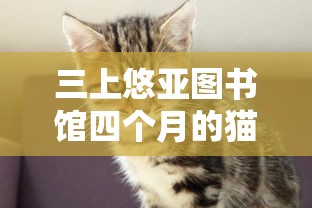 2019年315期3d开奖结果  第1张