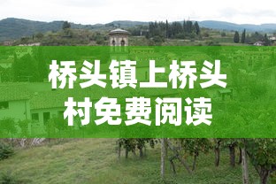桥头镇上桥头村免费阅读  第1张