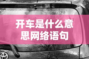 开车是什么意思网络语句  第1张