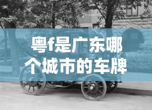 粤f是广东哪个城市的车牌号  第1张